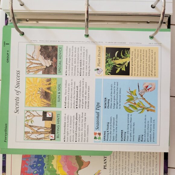 Gardening Made Easy Binder Educational Cards Groups 7 to 12 INCOMPLETE - Picture 6 of 9